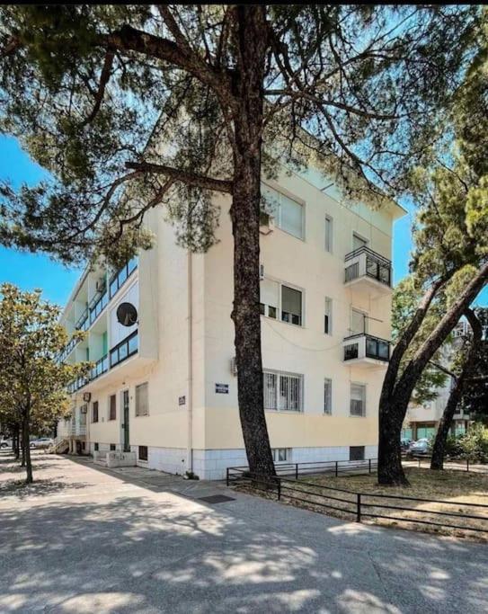 Apartment Music-Center, In The Center Of بودغوريتْسا المظهر الخارجي الصورة